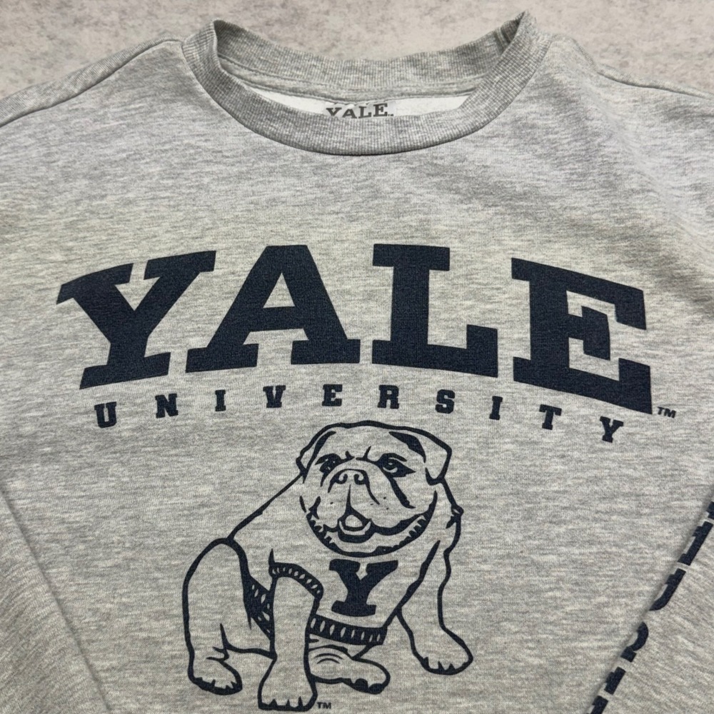 Yale University Bulldog Graphic Crewneck Mens Large Gray Sleeve Print Sweatshirt - Picture 2 of 9